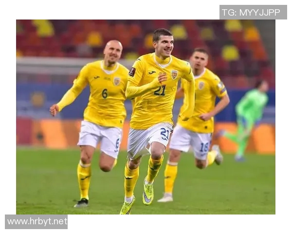 现役波黑足球明星介绍及其在国际赛场上的表现与成就分析