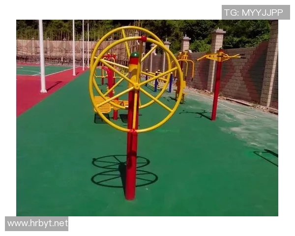 扭腰健身器材助你塑造完美身材享受健康生活的全新选择